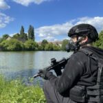 Illustration du profil de Timon